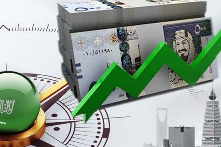 21 مليون عملية مالية تسجلها «المحافظ الإلكترونية» بالسعودية